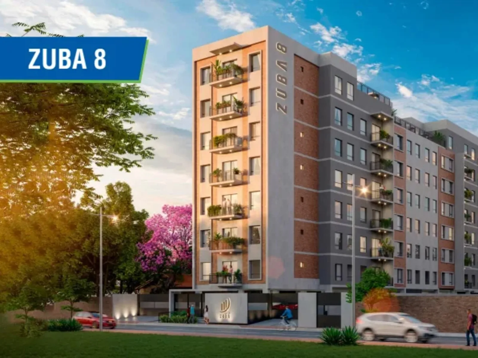 ZUBA 8