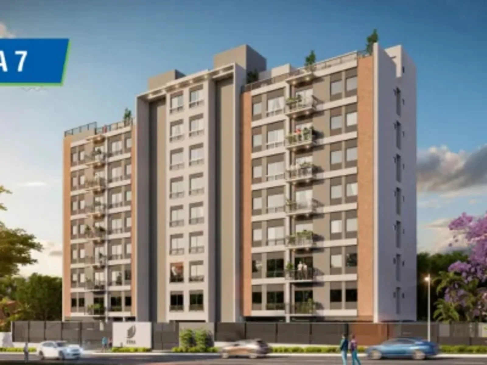 ZUBA 7